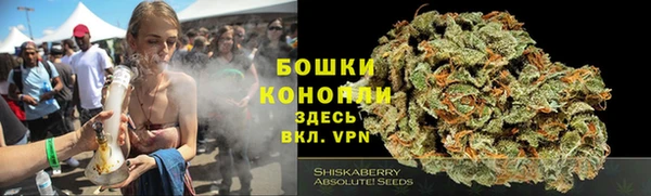 ПСИЛОЦИБИНОВЫЕ ГРИБЫ Алексеевка