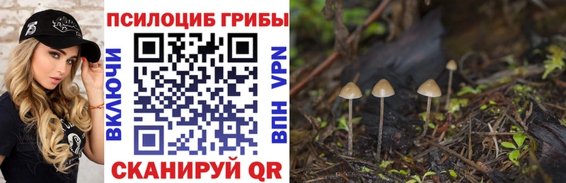 Псилоцибиновые грибы Psilocybine cubensis  нарко площадка формула  кракен маркетплейс  Шелехов  купить наркотик 